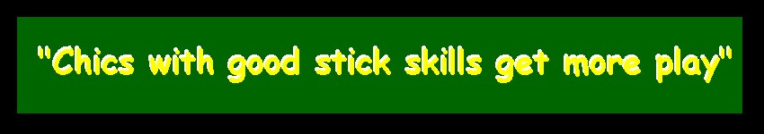 chicswithsticksbanner1.jpg